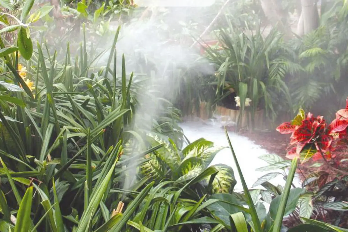 eliminare zanzare giardino